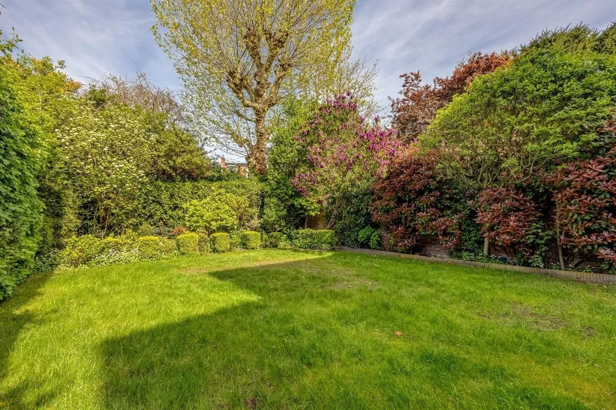 Diepe tuin met gazon en hoge hagen